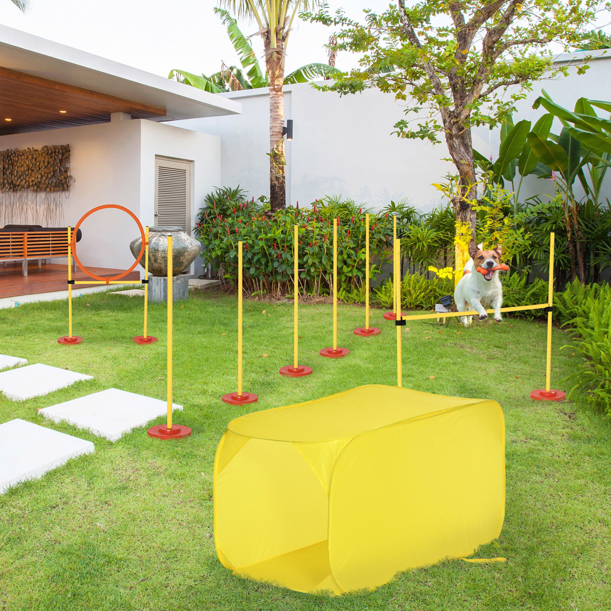 Dog Agility Training Set with High Jump, Tunnel, Weave Poles and Jumping Ring – Outdoor Exercise, Yellow