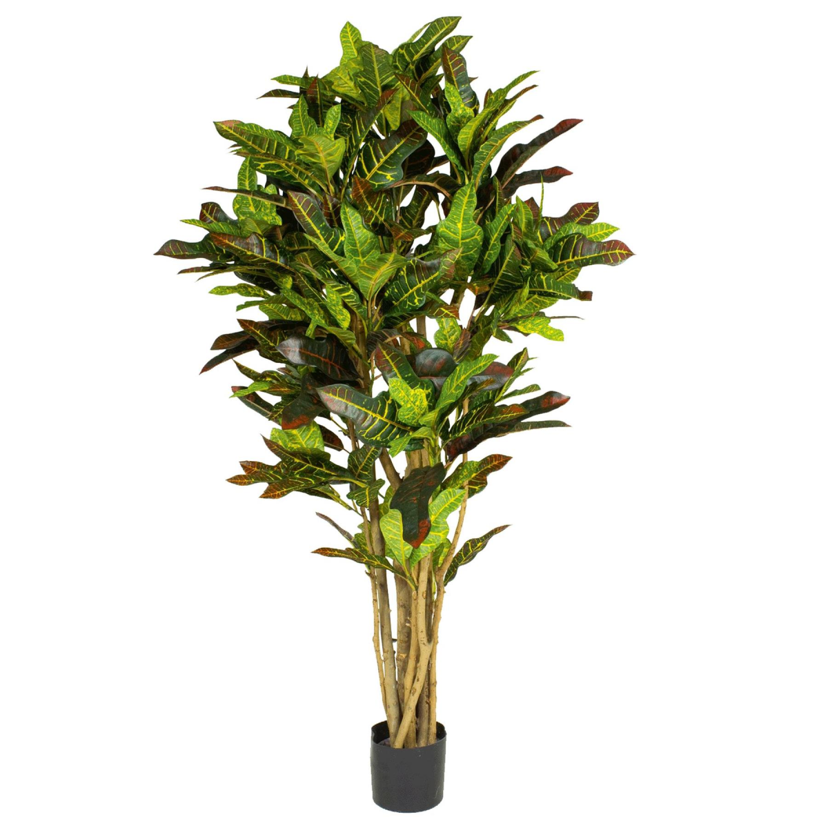 Leaf 150cm Artificial Croton Tree with Wired Stems – Realistic Multicoloured Tropical Plant in Black Pot