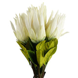 Artificial White Protea Sugarbush Stems, Pack of 6 – 65cm Wired Silk Flowers for Displays