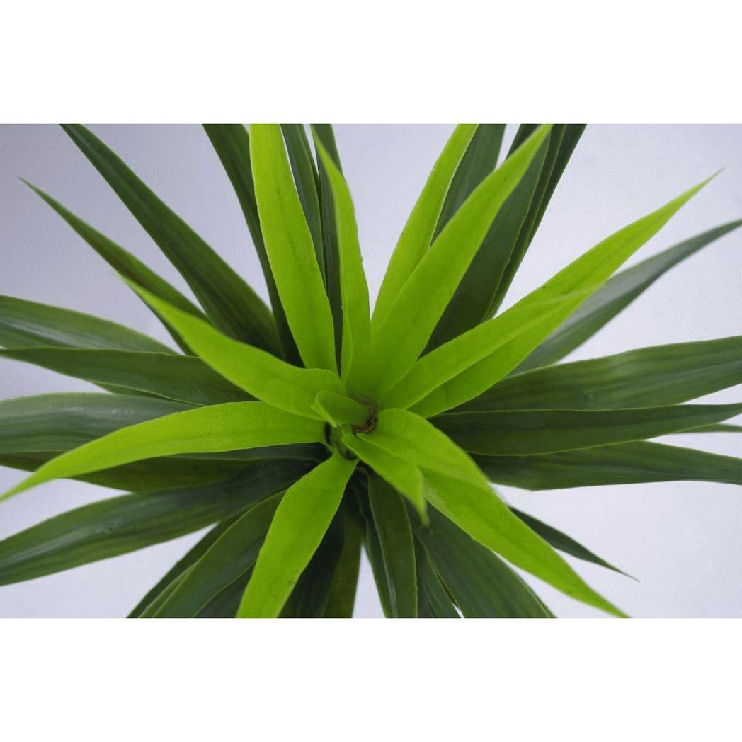 90cm (3ft) Large Artificial Yucca Plant Spiky Tree Plant Realistic