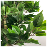 110cm Artificial Evergreen Ficus Tree with Wired Stems and Pot – Realistic Indoor Faux Plant