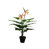 70cm Artificial Bird of Paradise Plant (Strelitzia) – Large