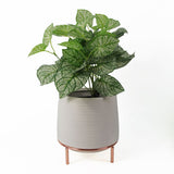 18cm White Ceramic Planter with Metal Stand – Indoor Plant Pot, White & Gold