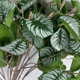 Pack of 6 Artificial Zebra Foliage Stems, 70cm – Wired Faux Greenery for Vases and Displays