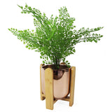 16cm Gold Ceramic Planter with Bamboo Stand – Indoor Plant Pot, Gold & Brown