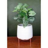 White Ceramic Planter Metal Stand Plant Pot