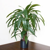 90cm Artificial Calathea Plant Dark Green